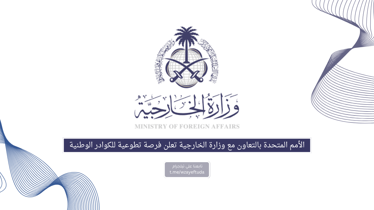 الأمم المتحدة بالتعاون مع وزارة الخارجية تعلن فرصة تطوعية للكوادر الوطنية