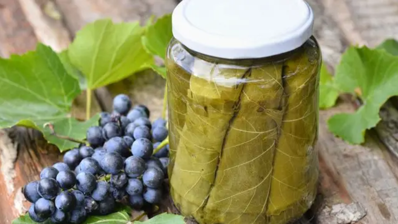 وظائف عن بعد براتب 6000 يوفرها مصنع أوراق عنب للتصنيع